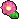 偷偷采来的花