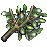 枞