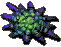 恶玉菌首领D