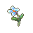 蝴蝶花