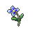 番红花
