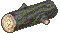 丝柏