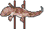 不明生物？