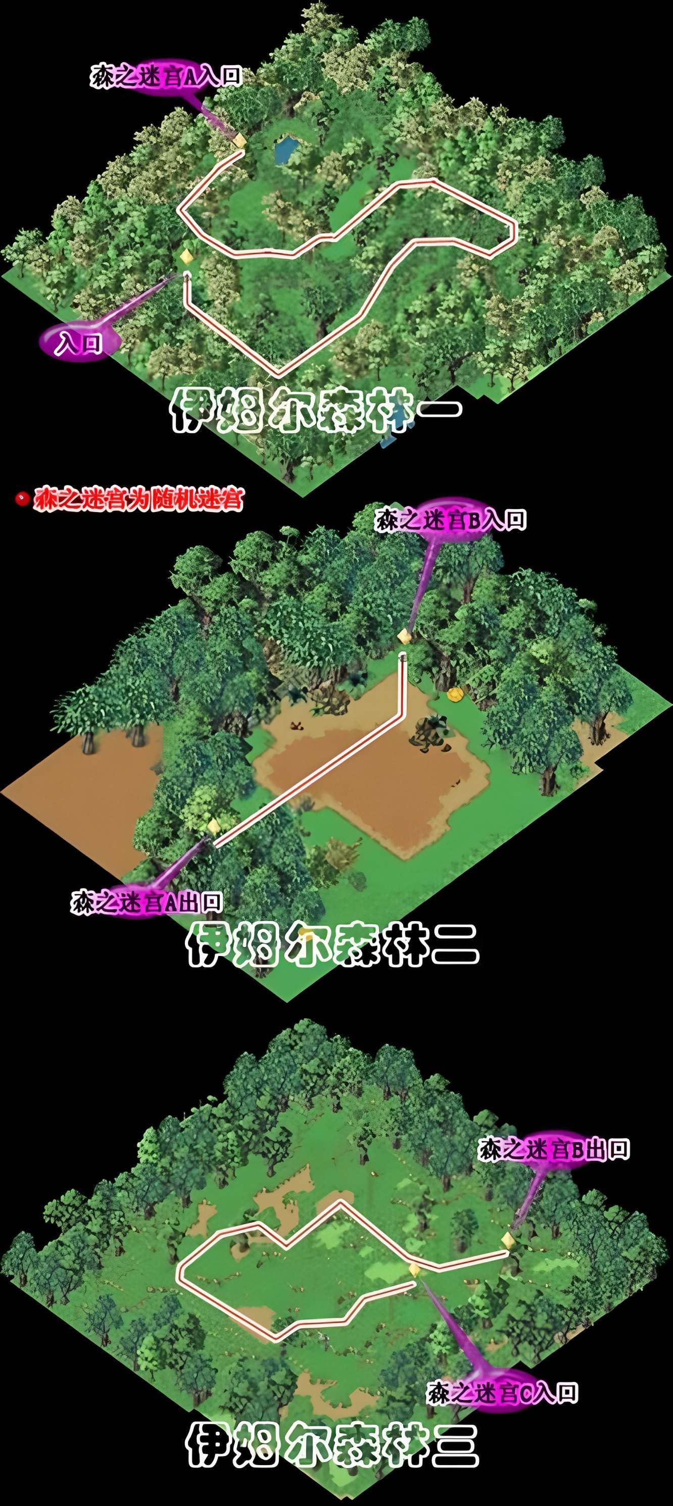 伊姆尔森林路线